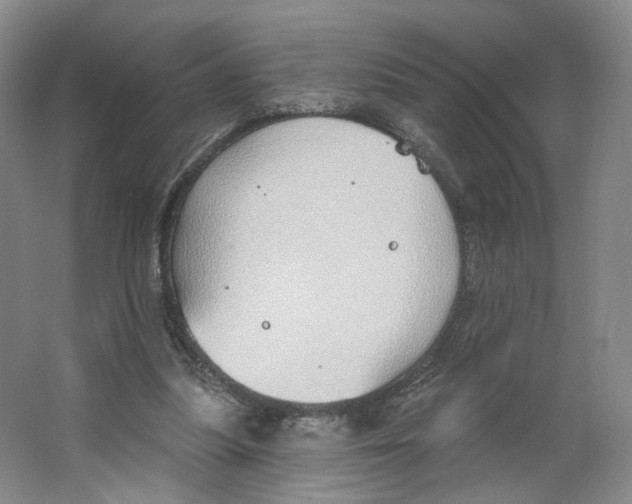 X0000063450251200602101656