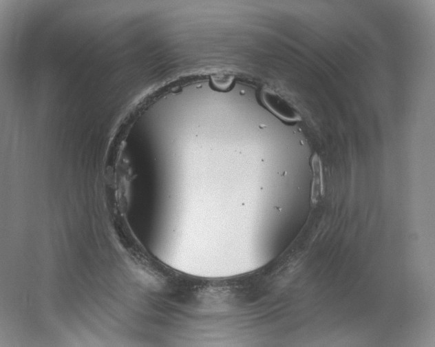 X0000063450252200602101656