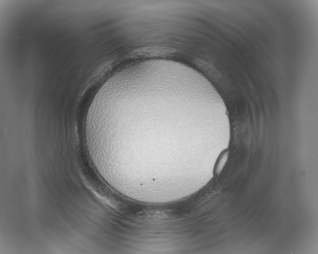 X0000063450254200602101656