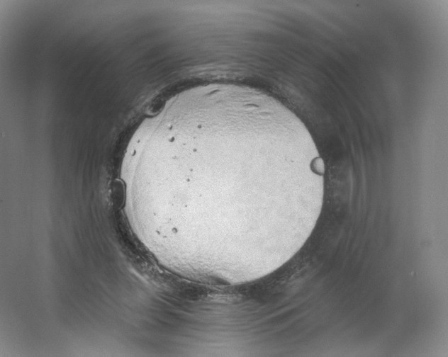 X0000063450255200602101656