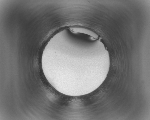 X0000063450256200602101656