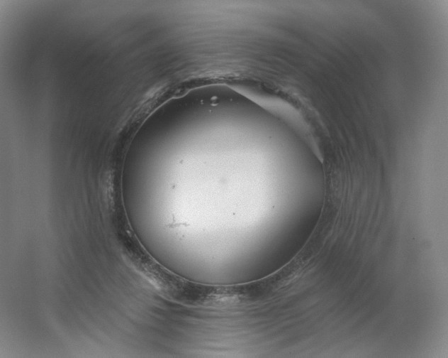 X0000063450260200602101656