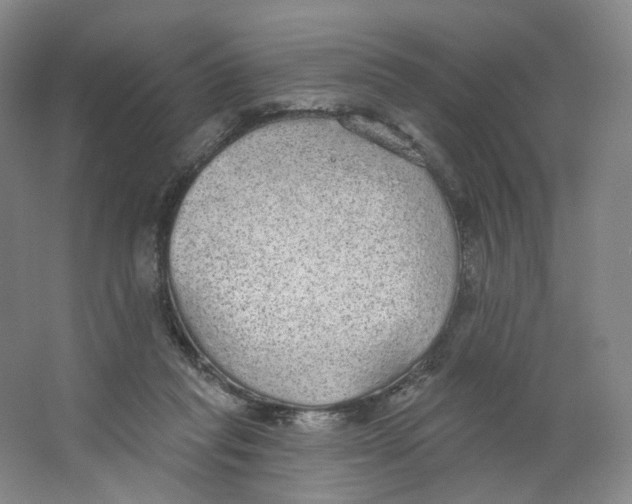 X0000063450261200602101656