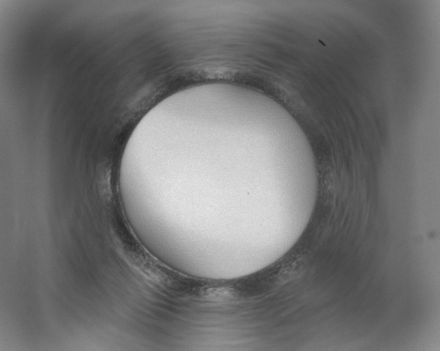 X0000063450262200602101656