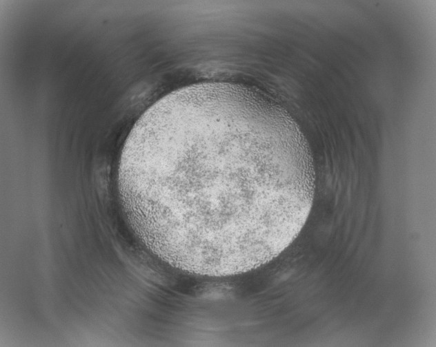 X0000063450263200602101656