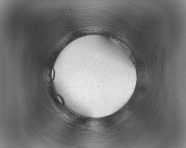 X0000063450264200602101656