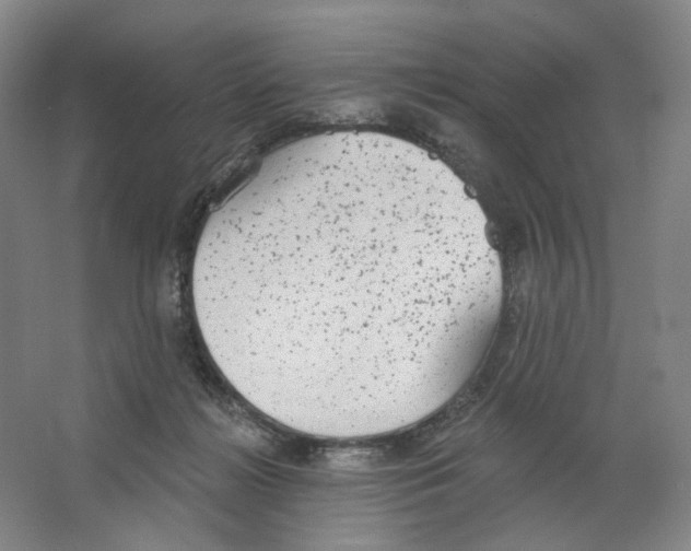 X0000063450268200602101656