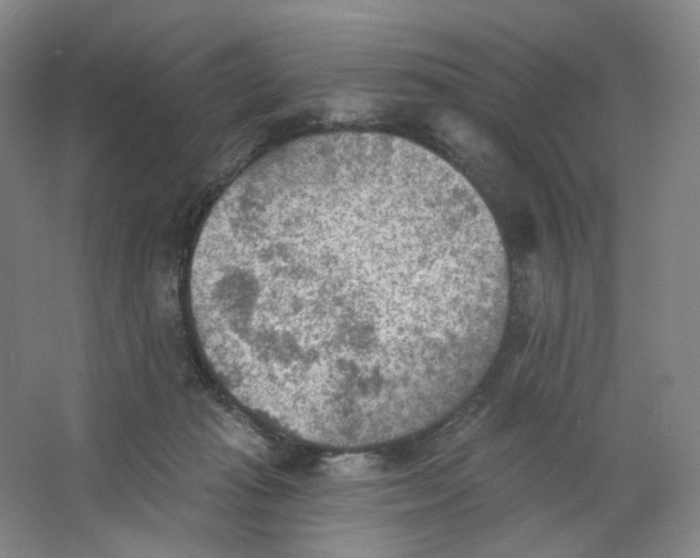 X0000063450269200602101656