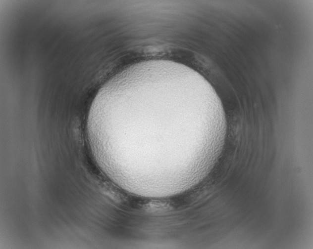 X0000063450270200602101656