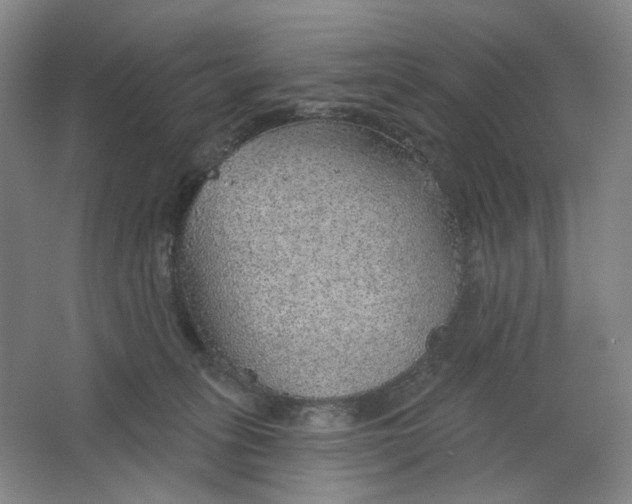 X0000063450275200602101656