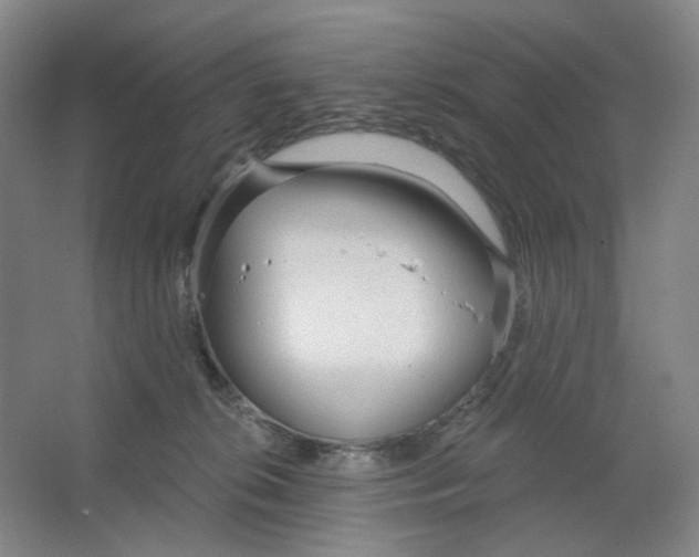 X0000063450276200602101656