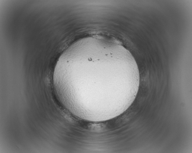 X0000063450277200602101656