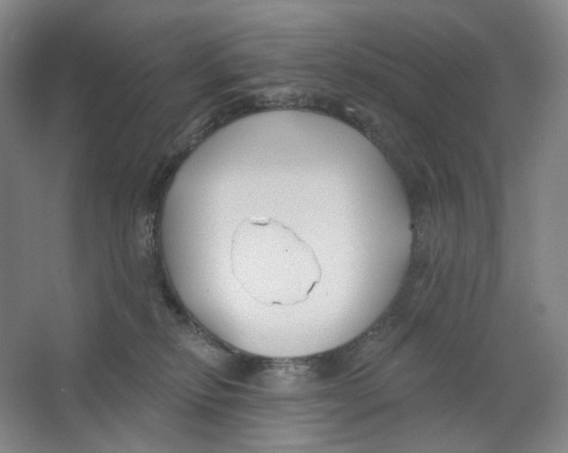 X0000063450278200602101656