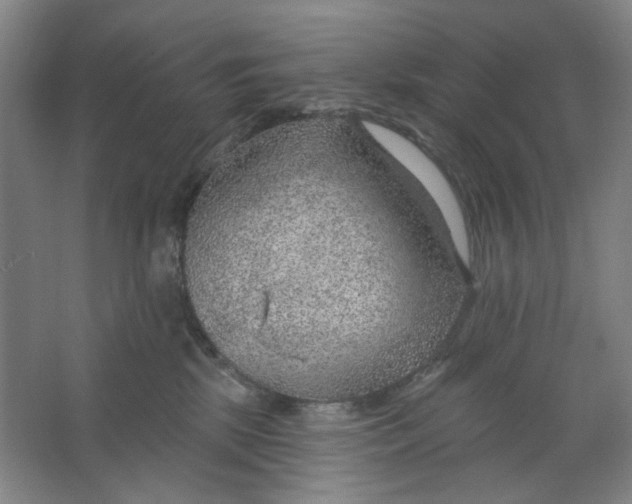 X0000063450281200602101656