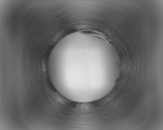 X0000063450282200602101656