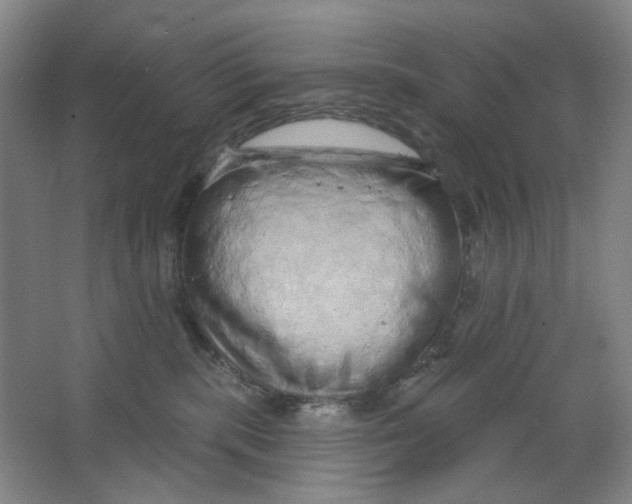 X0000063450283200602101656