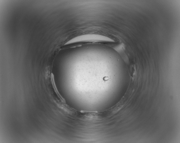 X0000063450284200602101656