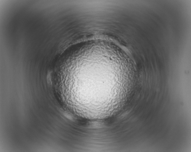 X0000063450286200602101656