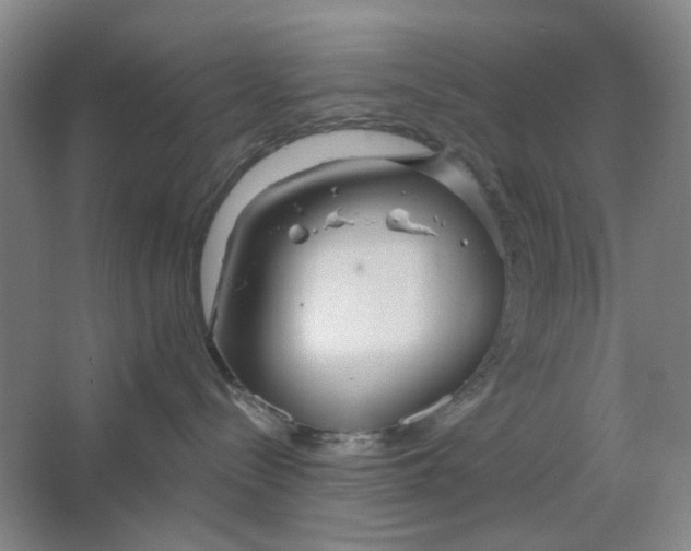 X0000063450288200602101656