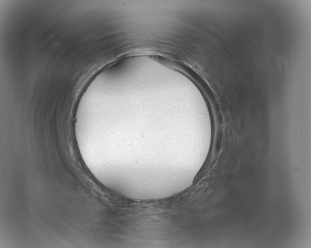 X0000063450289200602101655