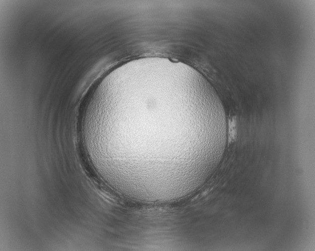 X0000063450291200602101655