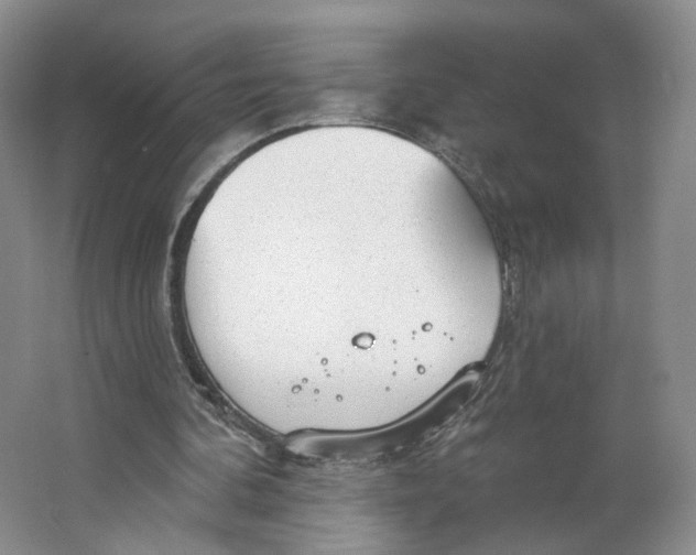 X0000063450292200602101655