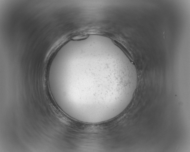 X0000063450293200602101655