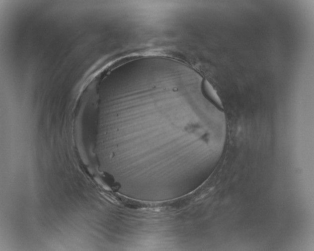 X0000063450295200602101655