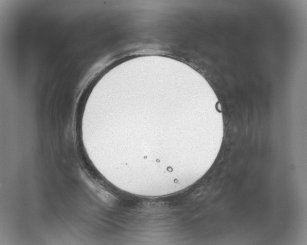 X0000063450296200602101655