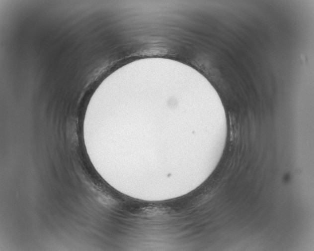 X0000063450300200602101655