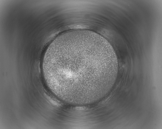 X0000063450302200602101655