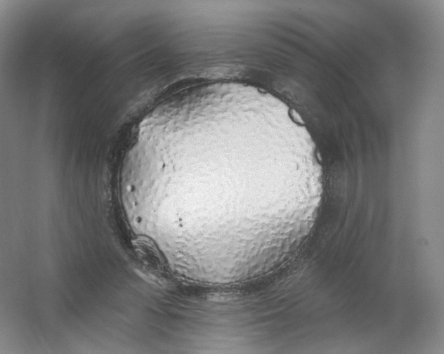 X0000063450303200602101655