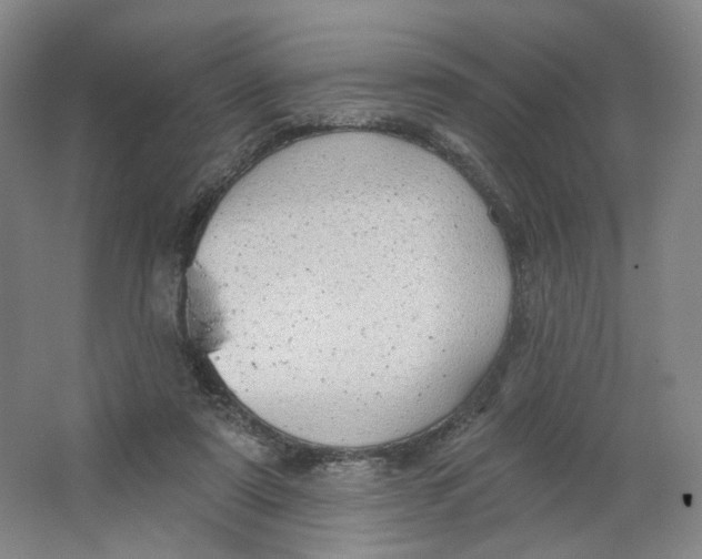 X0000063450307200602101655