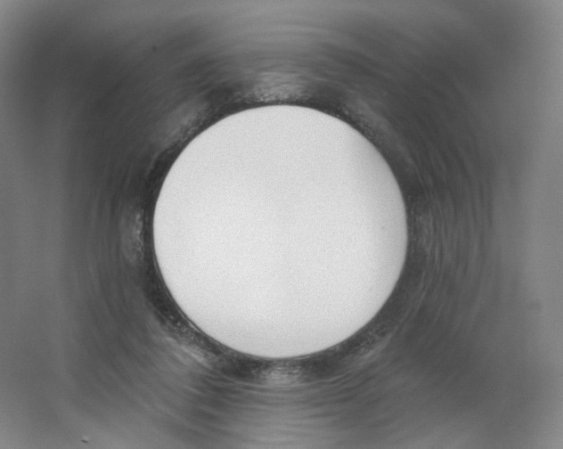 X0000063450308200602101655