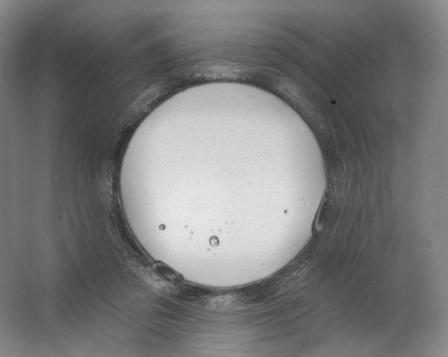 X0000063450309200602101655