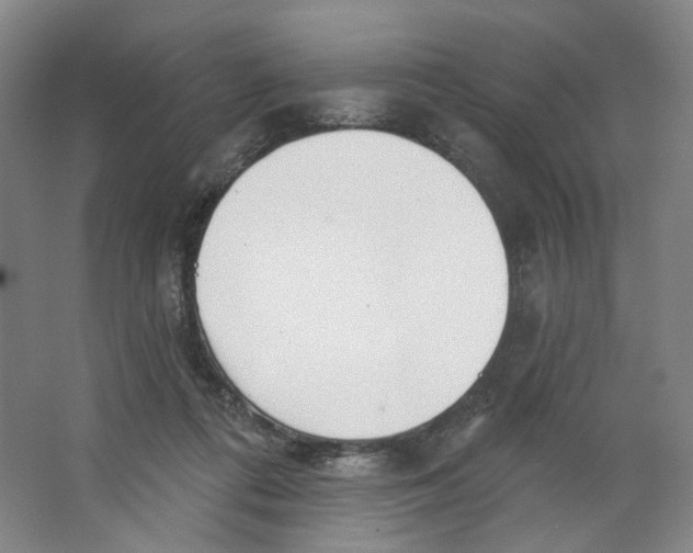 X0000063450312200602101655