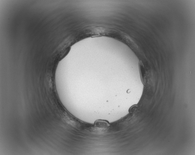 X0000063450313200602101655