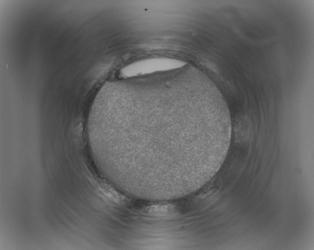 X0000063450314200602101655