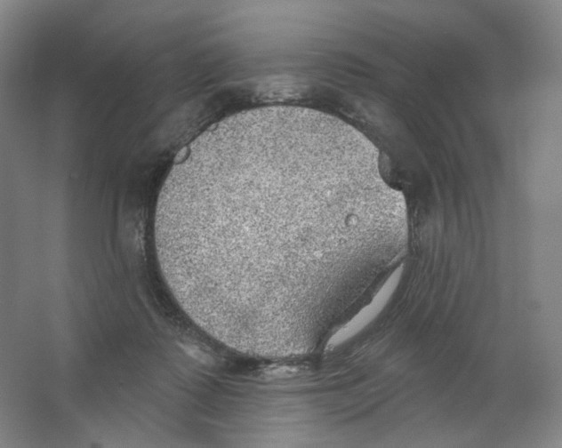 X0000063450315200602101655