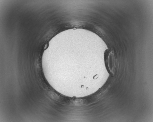 X0000063450317200602101655