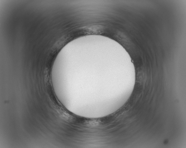 X0000063450318200602101655