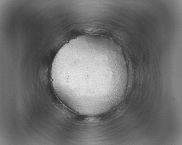 X0000063450319200602101655