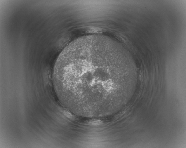 X0000063450322200602101655