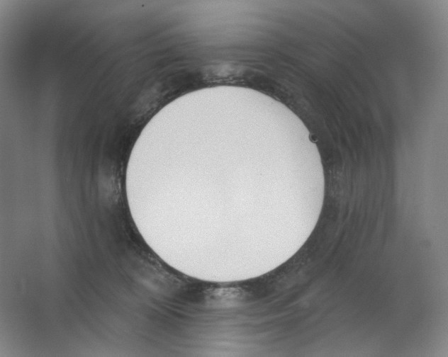 X0000063450324200602101655