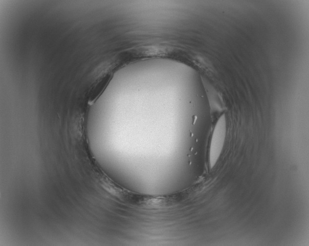 X0000063450325200602101655