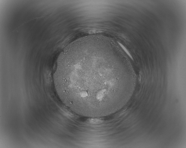 X0000063450327200602101655