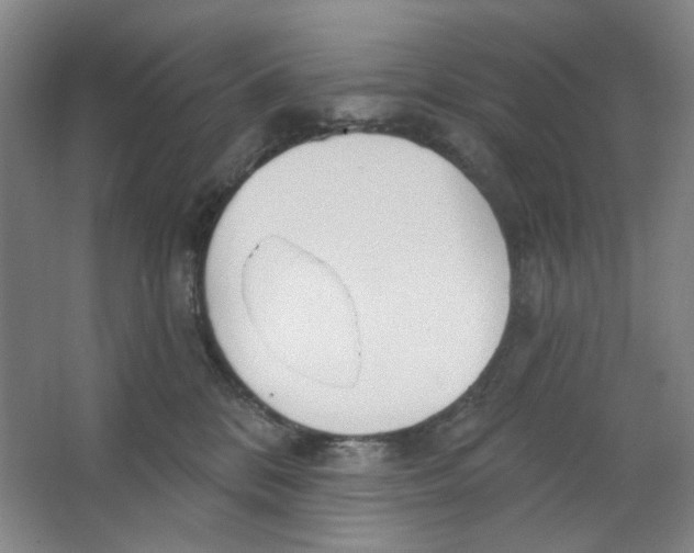 X0000063450328200602101655