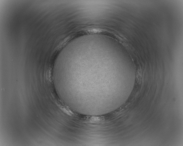 X0000063450330200602101655