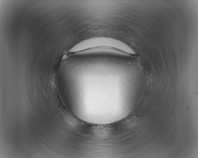 X0000063450331200602101655