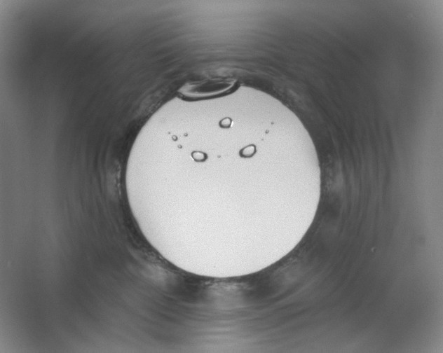 X0000063450332200602101655